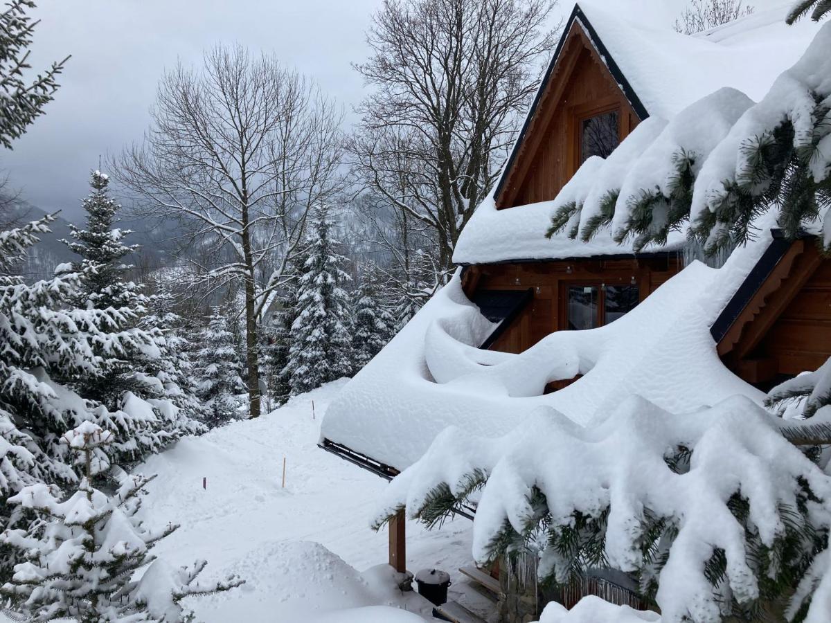 Mountain Dream Apartman Kościelisko Kültér fotó